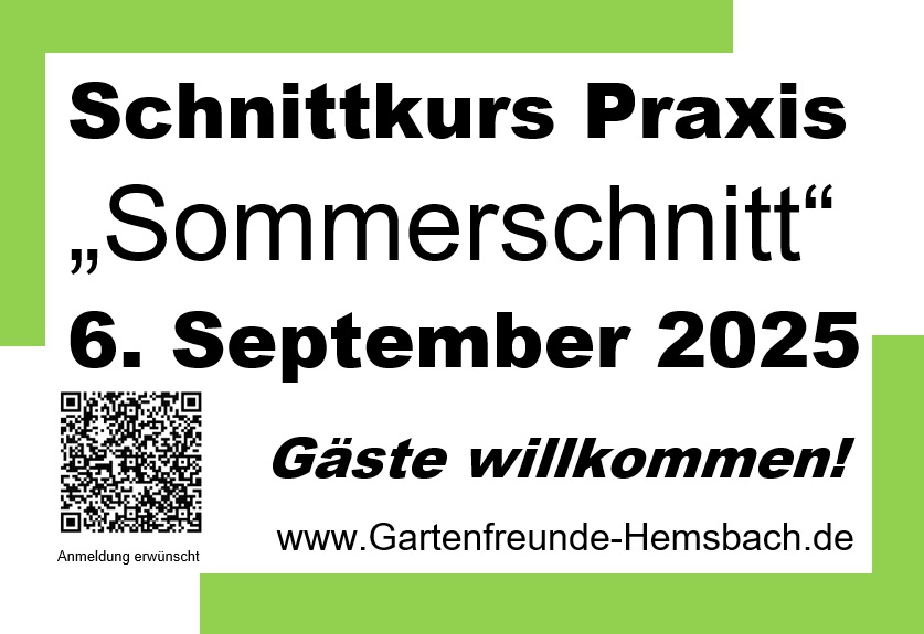 2025-09-06_Schnittkurs